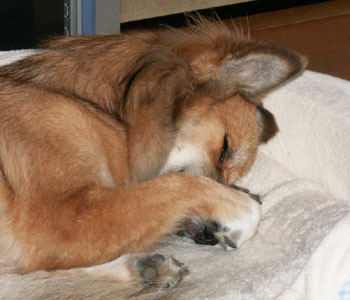 �@�������Ȃ���Q��