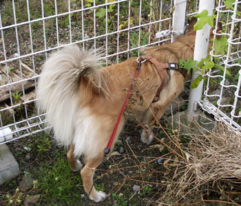 ������������