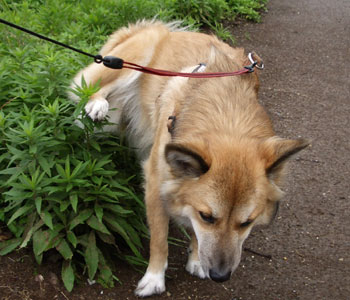 ���������E�E�E