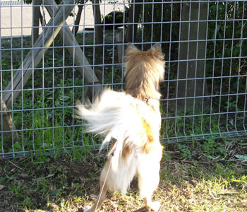 ���l�R�ɓB�t��