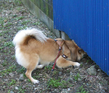 �����A�ʂ����Ǝv����