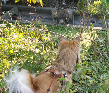 �����I�ӂ����ł�I