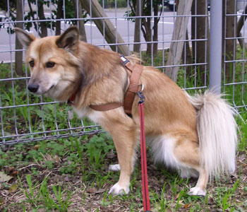 �܂����p���ς܂�