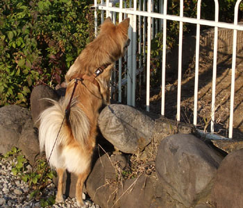 �������������񂾂�