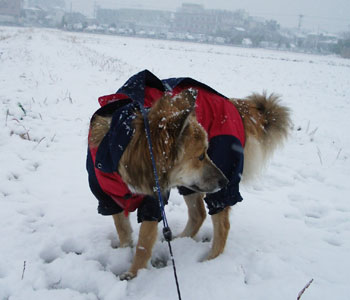 �F�B���݂�Ȃ��ꂵ����