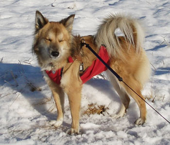 �����͐���Ă܂Ԃ���