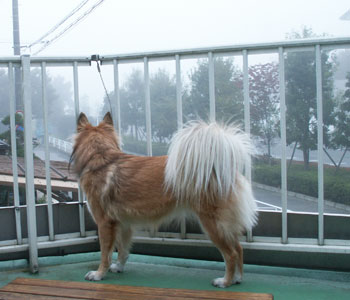 ����[�A�O��������[