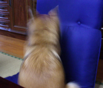 ���̓��ۂ͍��֎q�@��