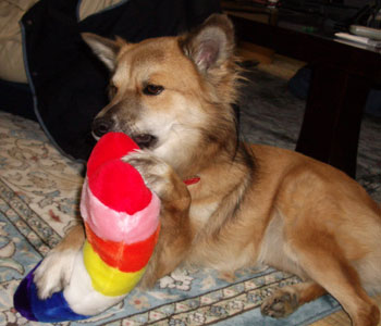 ���𔃂��Ă������