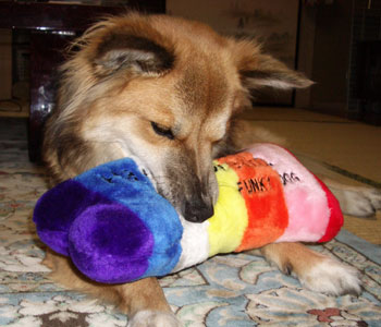 ����������́H