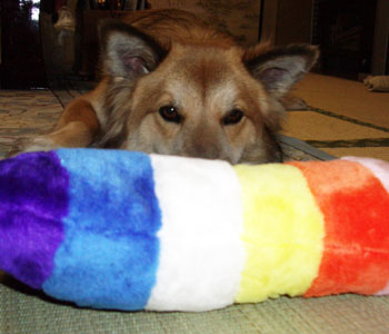 �]�������E�E�E