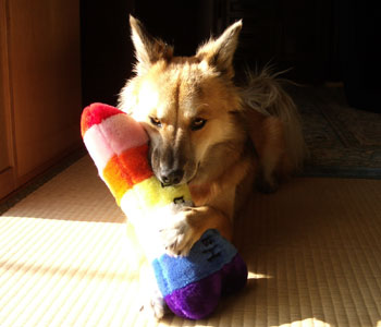 ���ĂĎg���񂶂�Ȃ��́H