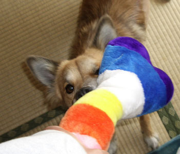 ���������ā`