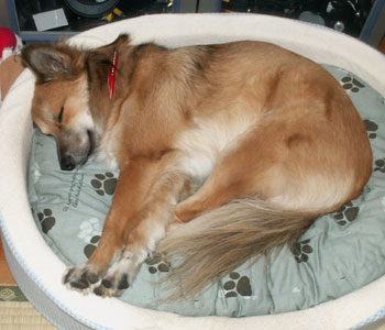 �L�т����Ȃ���Q��