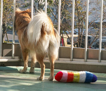 �܂��u���Y�ꂽ