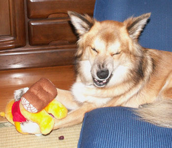 �ւ�������I