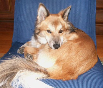 �ދ��ȂƂ��̕s����