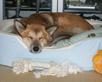 �������̂���Ƃ���͉���₷��