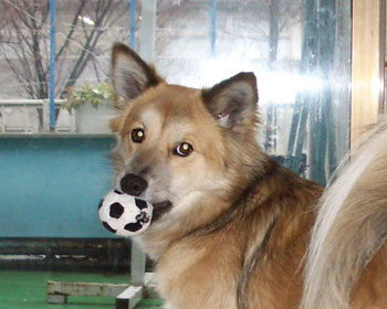 �O�ŗV�ڂ���