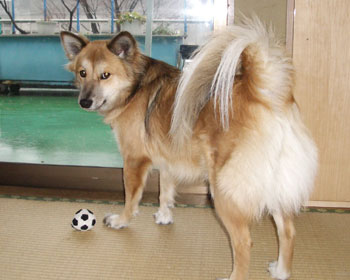 �J������_�������āE�E�E