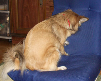 ���Ⴀ�A�@���Ă��