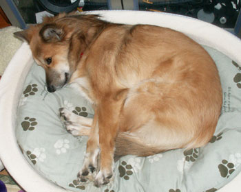 ���邭�錢�̉�͂Ȃ��̂��ȁH