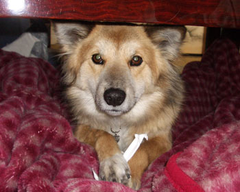 ���蔢�̑܂͎�y�ɗV�ׂ��