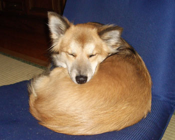 ���邭��L�̉�ł������񂾂��ǂ�