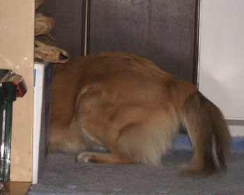 ���Â����Ƃ͔��Â��ꏊ�ł���