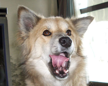 ���f���͑ދ��Ȃ񂾂��