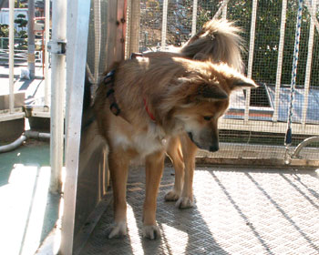 �������t�g����l�ŏ����