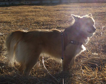 �܂�������I����Ƃ��S��ʐ^�H