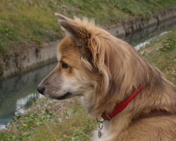 �l�R�|�C���g�ł͗����~�܂��Ċm�F