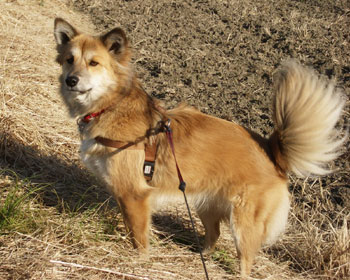 �F�B����������L�΂��đ҂�