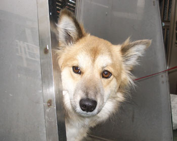 �U�����I����Ė��c�ɂ���