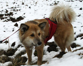 ���N�͐Ⴊ������