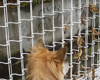 �E�E�E�΂����āH