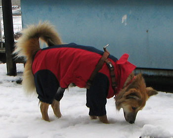 ����A��͍D���Ȃ񂾂��ǂ�