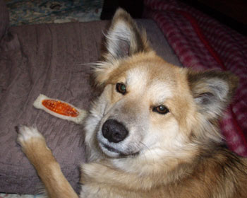 �܂��A������������֎q�ɒu���܂�