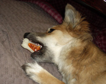 ���̂܂܂�����܂�