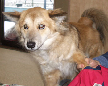 �ق�ق�A����Ȃ񂾂�A����