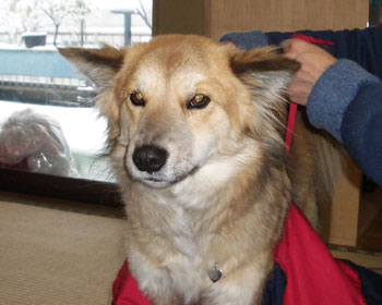 �����������Ⴄ��