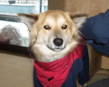 �葁�����Ă�