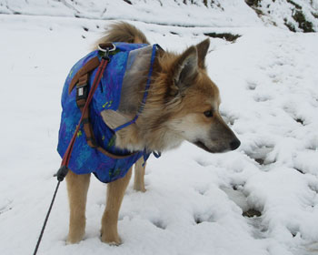 �ߌ�͂�񂾂̂ɁA�܂��J�b�p