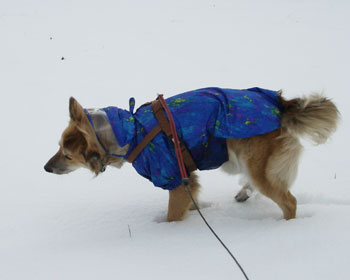 �u���u�����Ă����Ȃ�����A����������