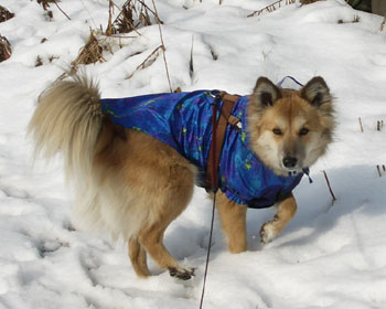 ���A��������H