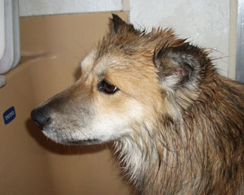 ���ꂽ�E�E�E