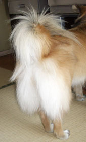 �􂢂��Ă̐K�͂ق���