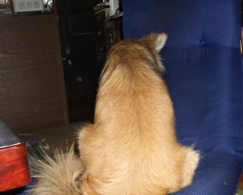 �{���Č@��