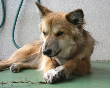 �����}�Ԃ�ŋC�ɓ�����